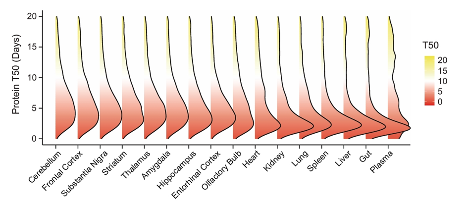 6389067589102664487383141