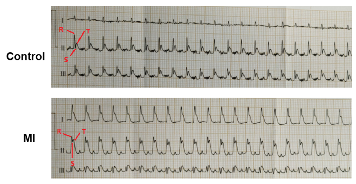 1700024247754992.png 34343434.png